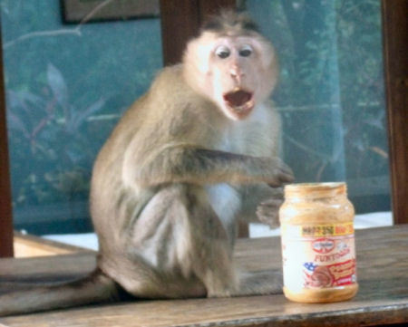 Raj having his peanut butter fix