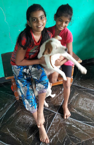 jill rehomed