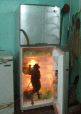 monkey in fridge