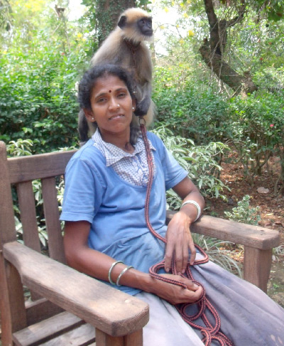 Kochi meets dixie