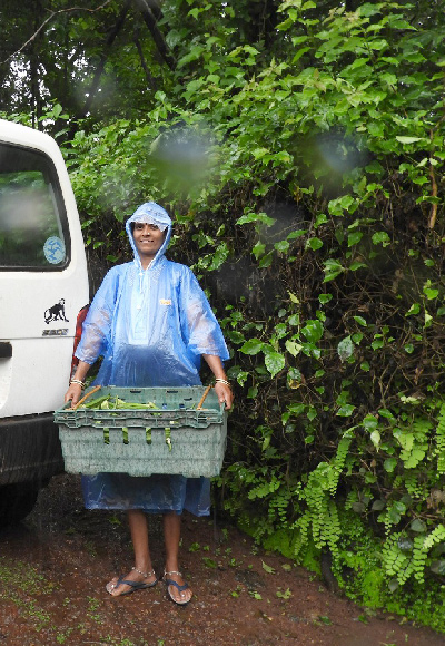 Rain in Goa
