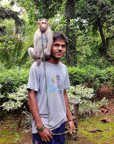 monkey walker