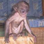 Baby Monkey, Puck