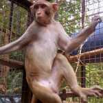 Pani Before her operation