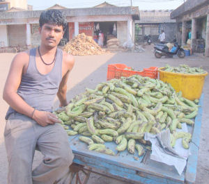 Loading Bananas At The Market