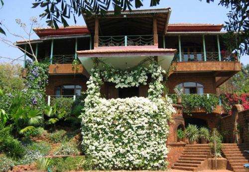 The Tree House, Goa