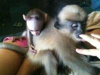 How Cute is this?