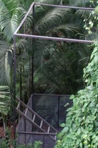 Upcoming of new cage